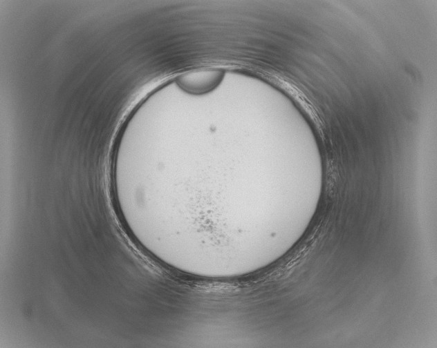 X0000115771187200912111100