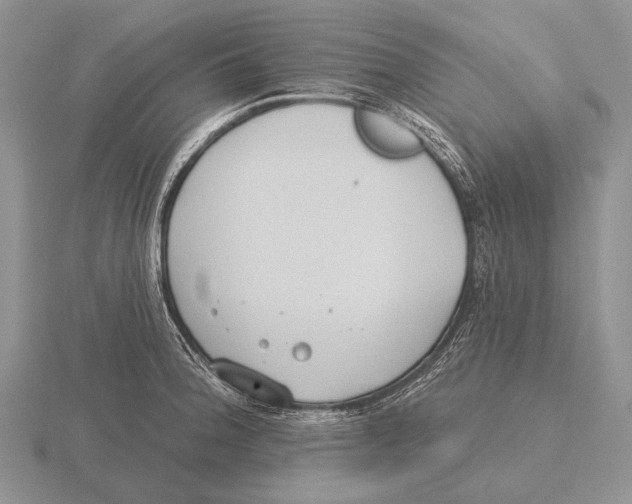 X0000115771188200912111100