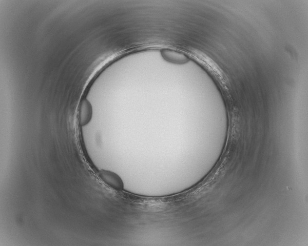 X0000115771190200912111100