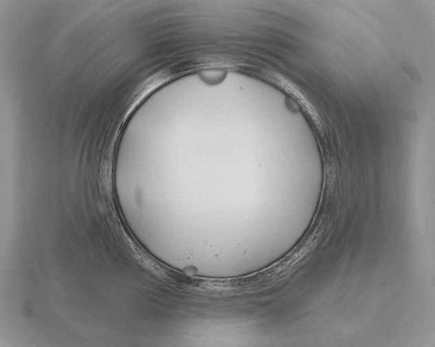 X0000115771194200912111100