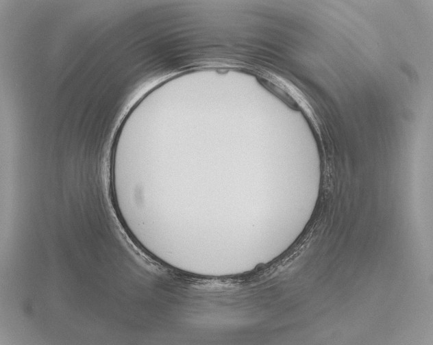 X0000115771195200912111100