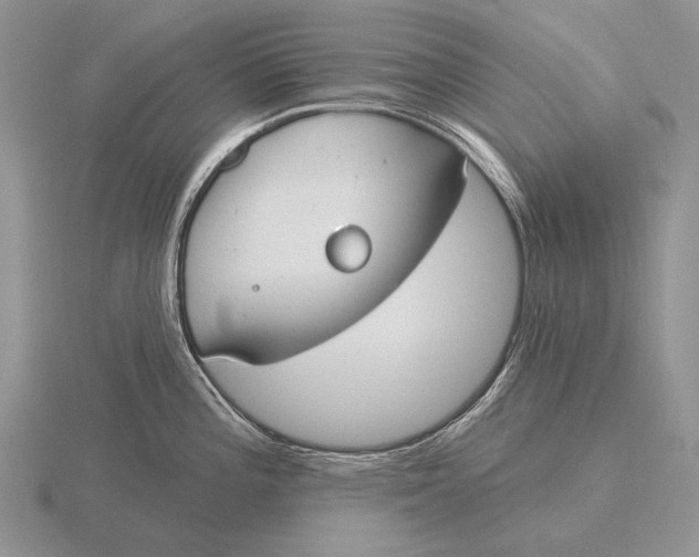 X0000115771196200912111100