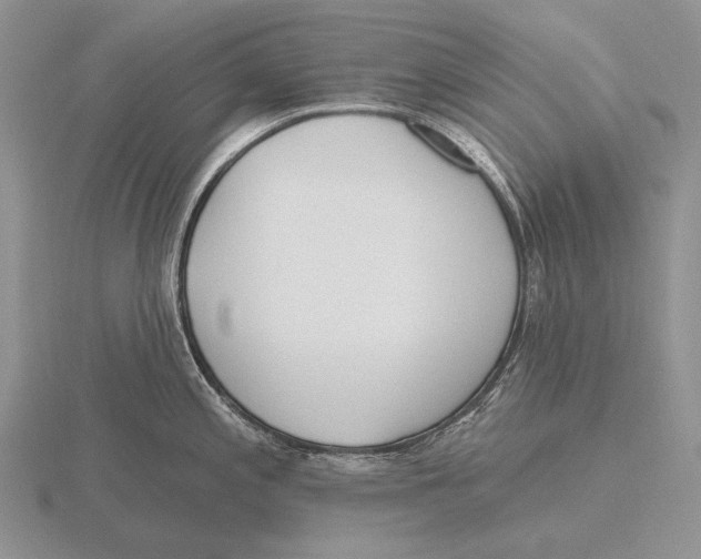 X0000115771197200912111100