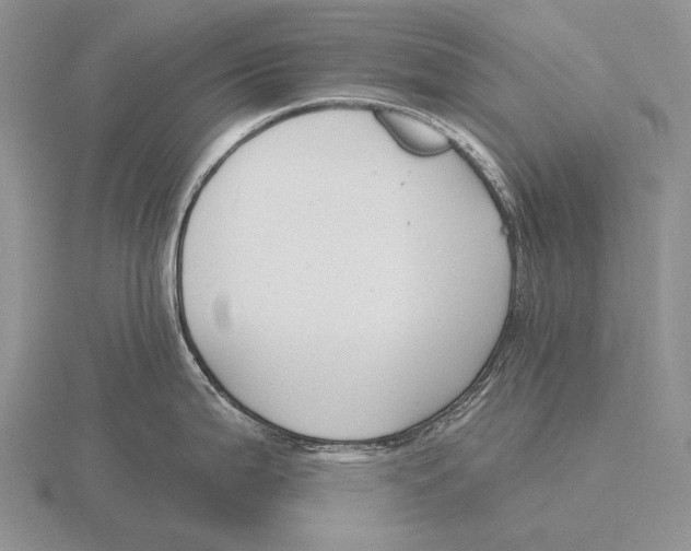 X0000115771199200912111100