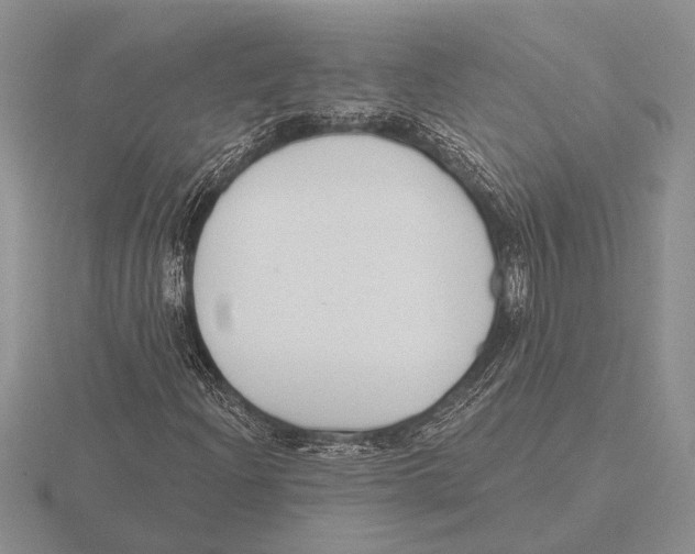 X0000115771204200912111059