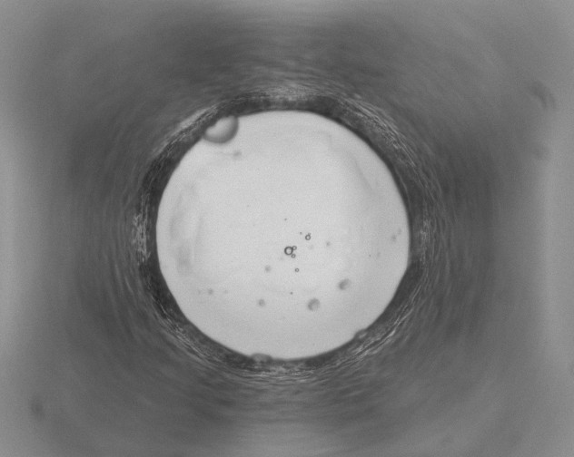 X0000115771205200912111059