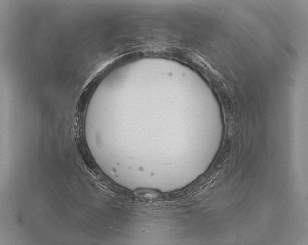 X0000115771208200912111059