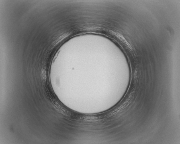 X0000115771209200912111059