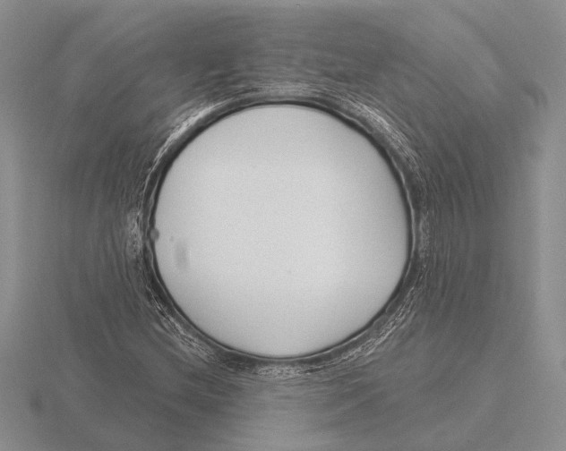 X0000115771212200912111059