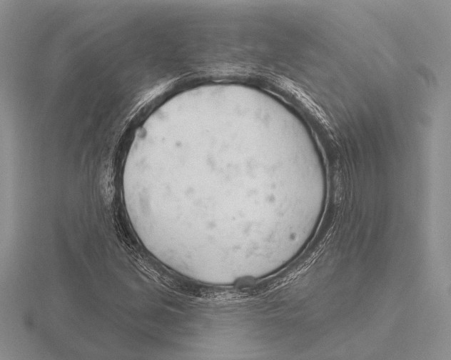 X0000115771213200912111059