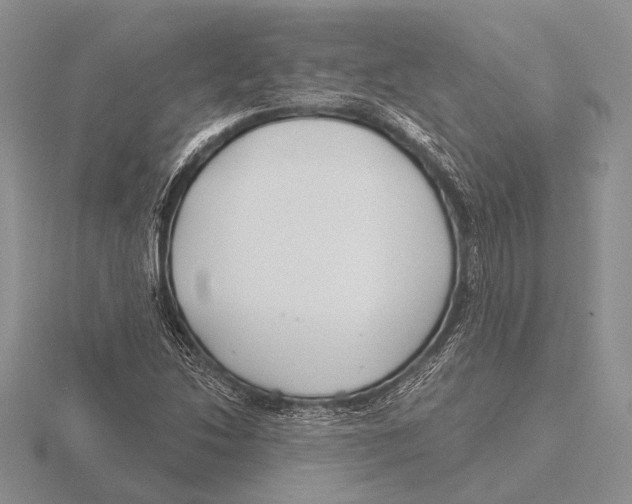 X0000115771214200912111059