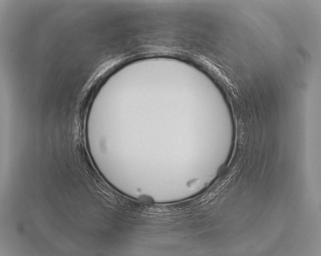 X0000115771215200912111059