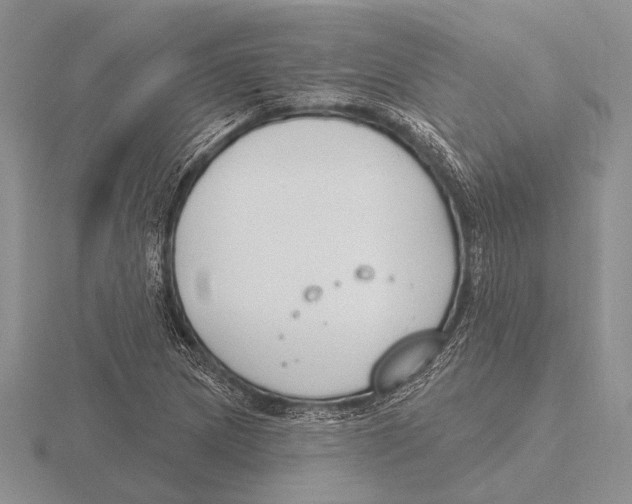 X0000115771217200912111059