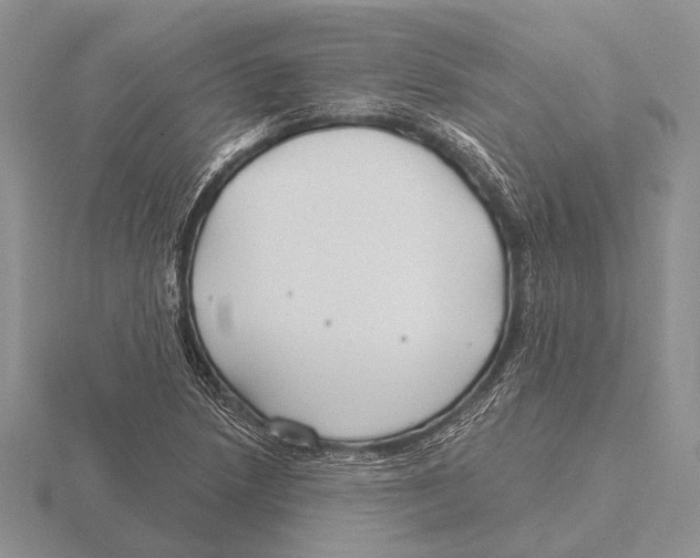 X0000115771218200912111059