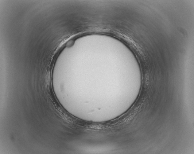 X0000115771220200912111059