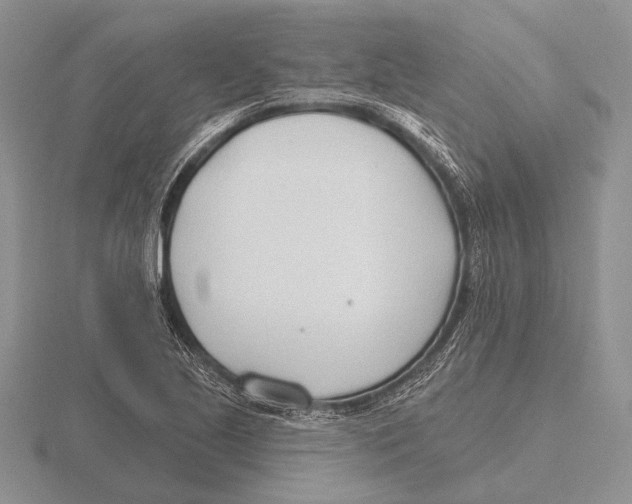 X0000115771221200912111059