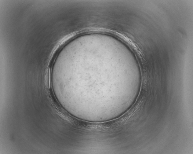 X0000115771223200912111059