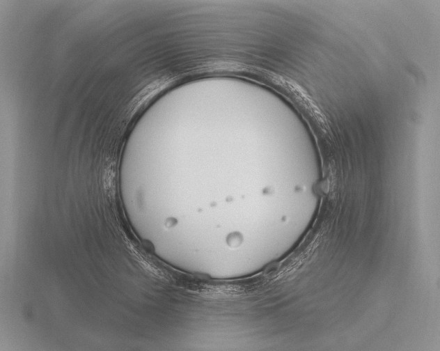 X0000115771225200912111059