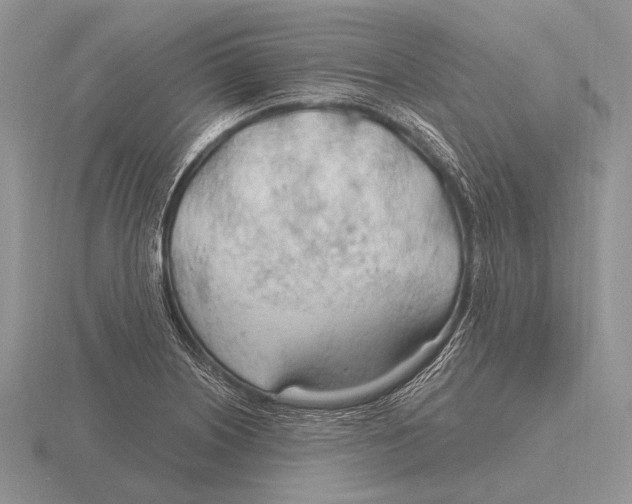 X0000115771226200912111059