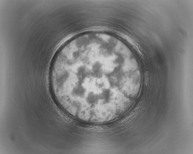 X0000115771229200912111059