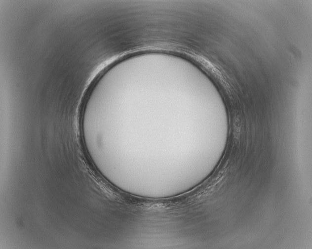 X0000115771230200912111059