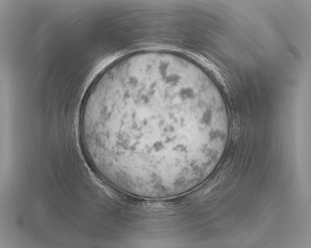 X0000115771231200912111059