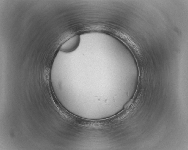 X0000115771233200912111059