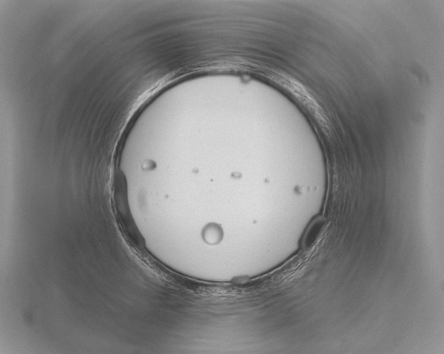 X0000115771234200912111059