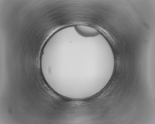 X0000115771236200912111059