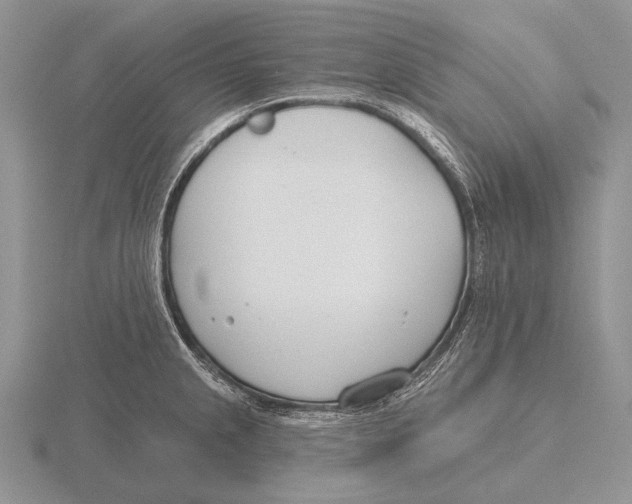 X0000115771237200912111059