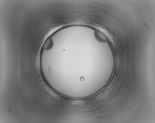 X0000115771238200912111059