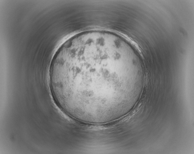 X0000115771239200912111059