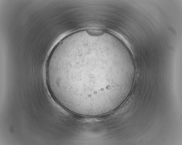 X0000115771243200912111059