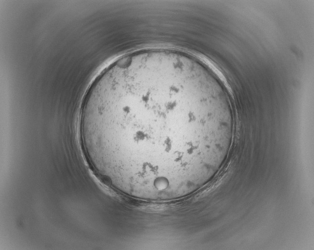 X0000115771245200912111059