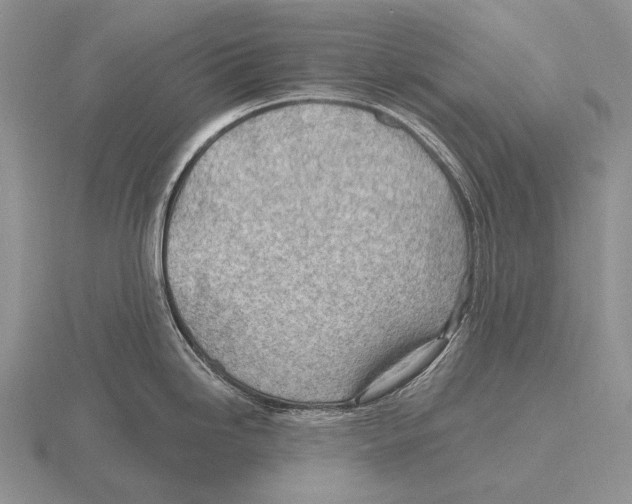 X0000115771246200912111059