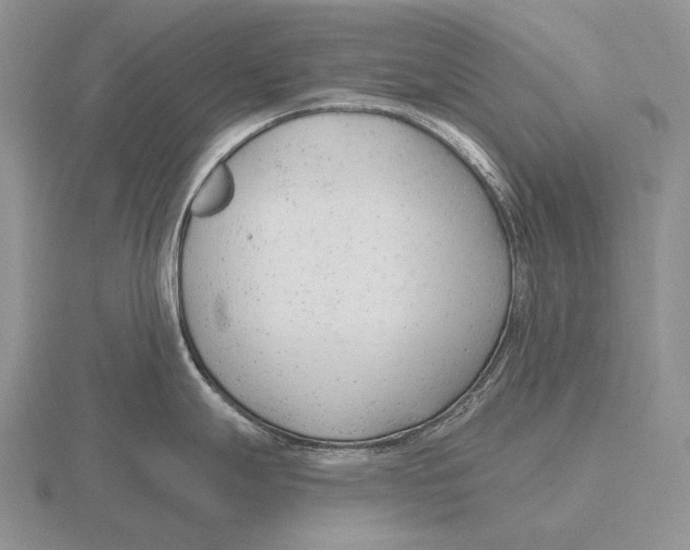 X0000115771247200912111059