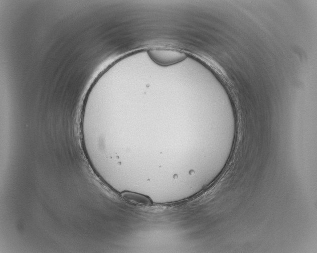 X0000115771248200912111100