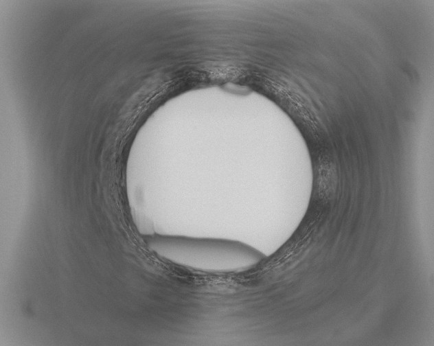 X0000115771249200912111059