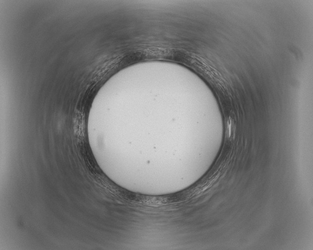 X0000115771251200912111059