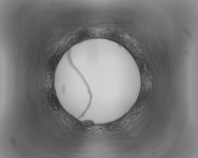 X0000115771253200912111059