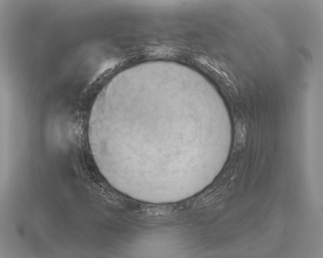 X0000115771254200912111059