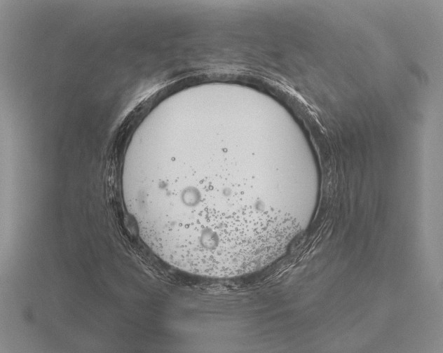 X0000115771255200912111059