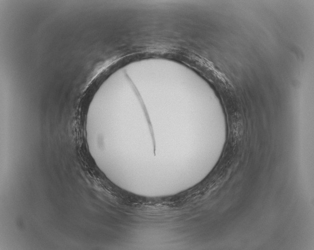 X0000115771256200912111059