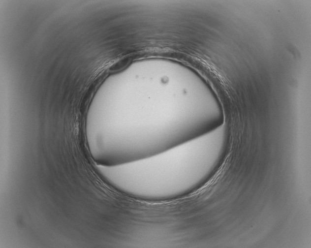 X0000115771257200912111059