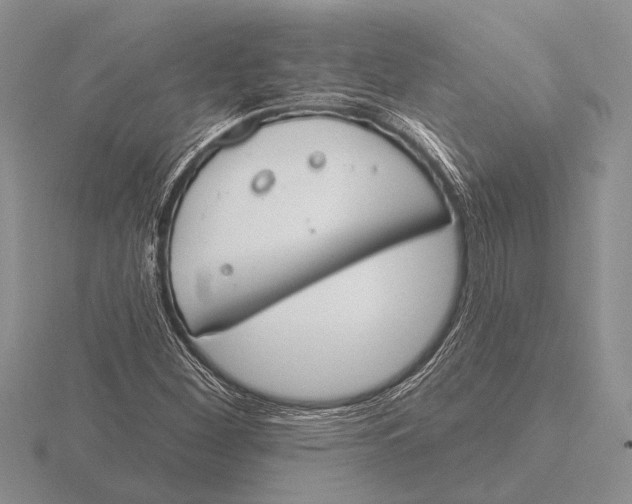 X0000115771260200912111059