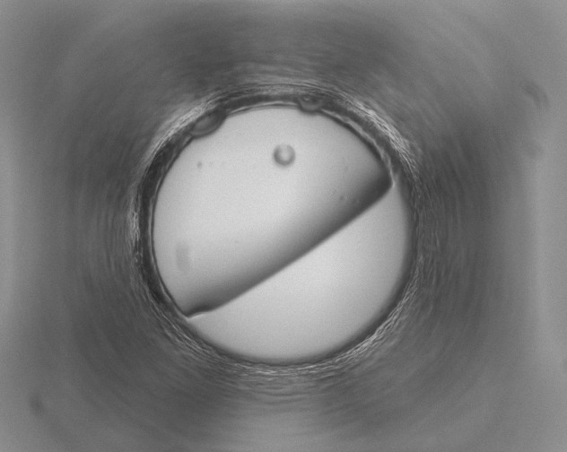 X0000115771261200912111059