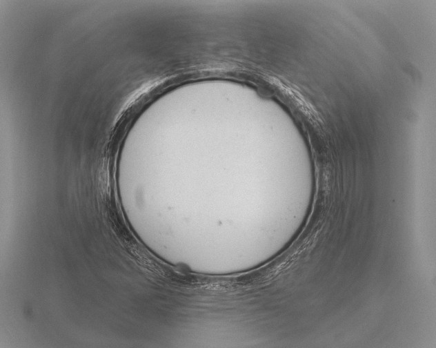 X0000115771262200912111059