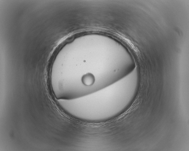 X0000115771264200912111059