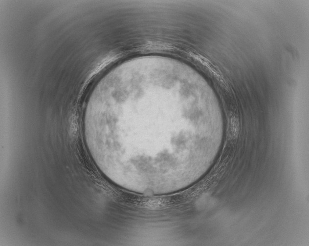 X0000115771266200912111059