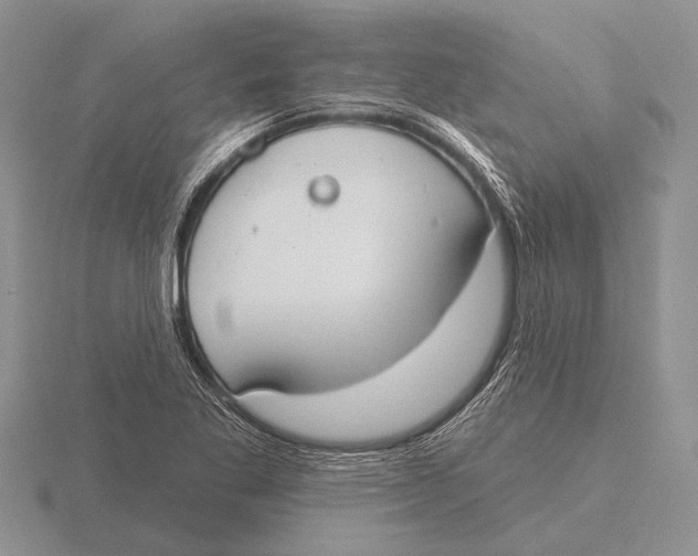 X0000115771269200912111058